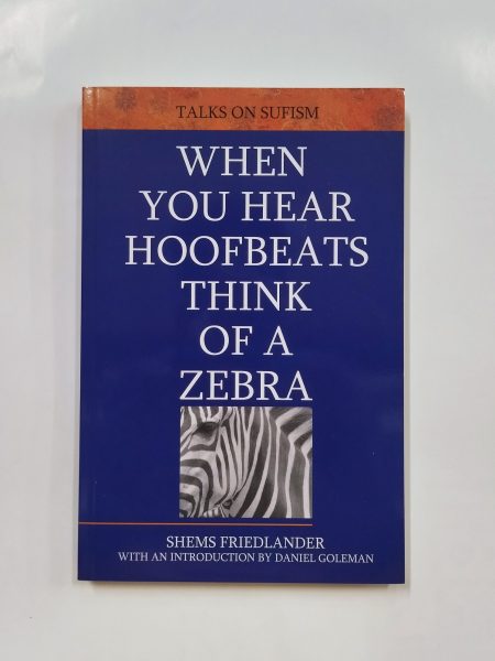 When You Hear Hoofbeats Think of a Zebra by Shems Friedlander